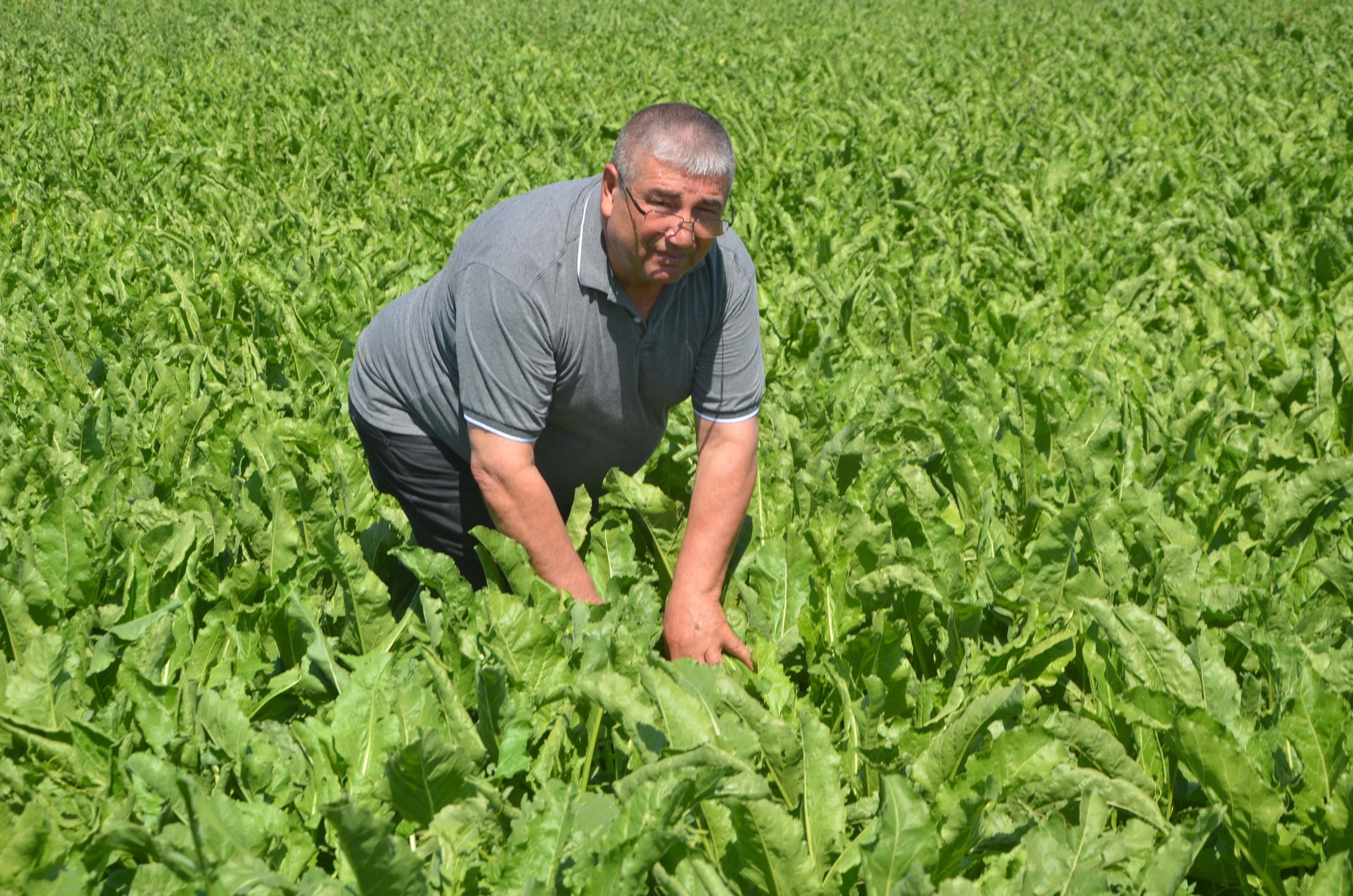 mehmet-gumussoy.jpg